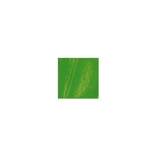 HUILE FINE XL T37ML VERT CAD.I