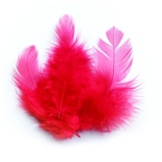 PLUME COQ ROUGE