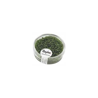 Rocailles, 2 mm ø, avec garniture argen vert moyen